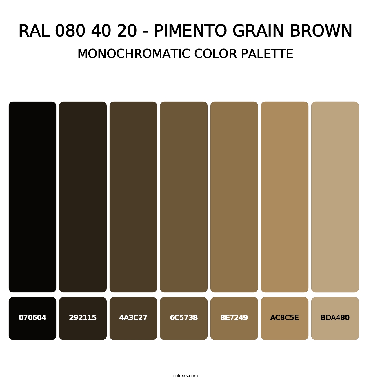 RAL 080 40 20 - Pimento Grain Brown - Monochromatic Color Palette