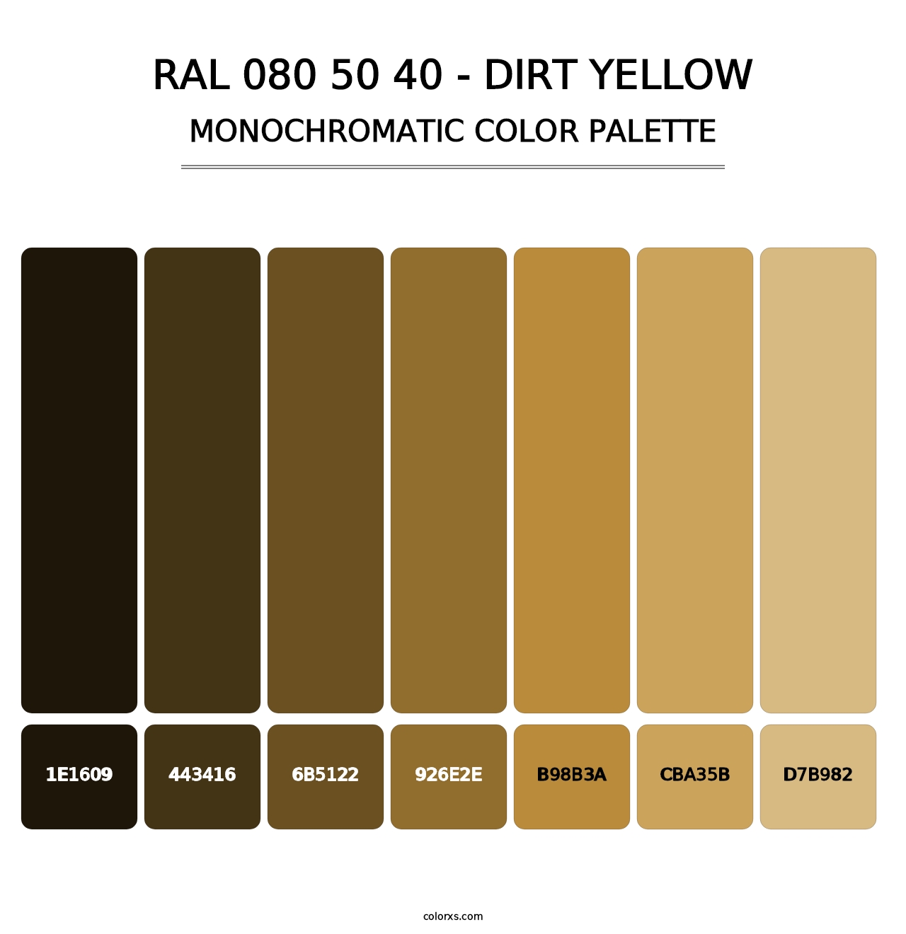 RAL 080 50 40 - Dirt Yellow - Monochromatic Color Palette