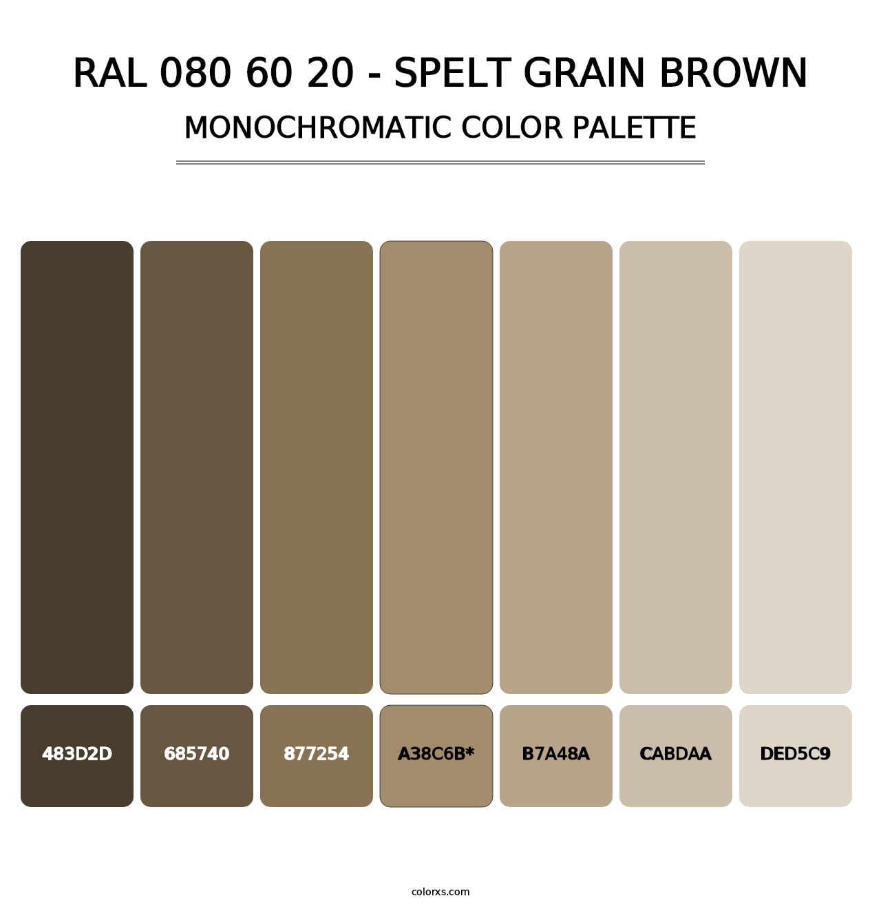 RAL 080 60 20 - Spelt Grain Brown - Monochromatic Color Palette