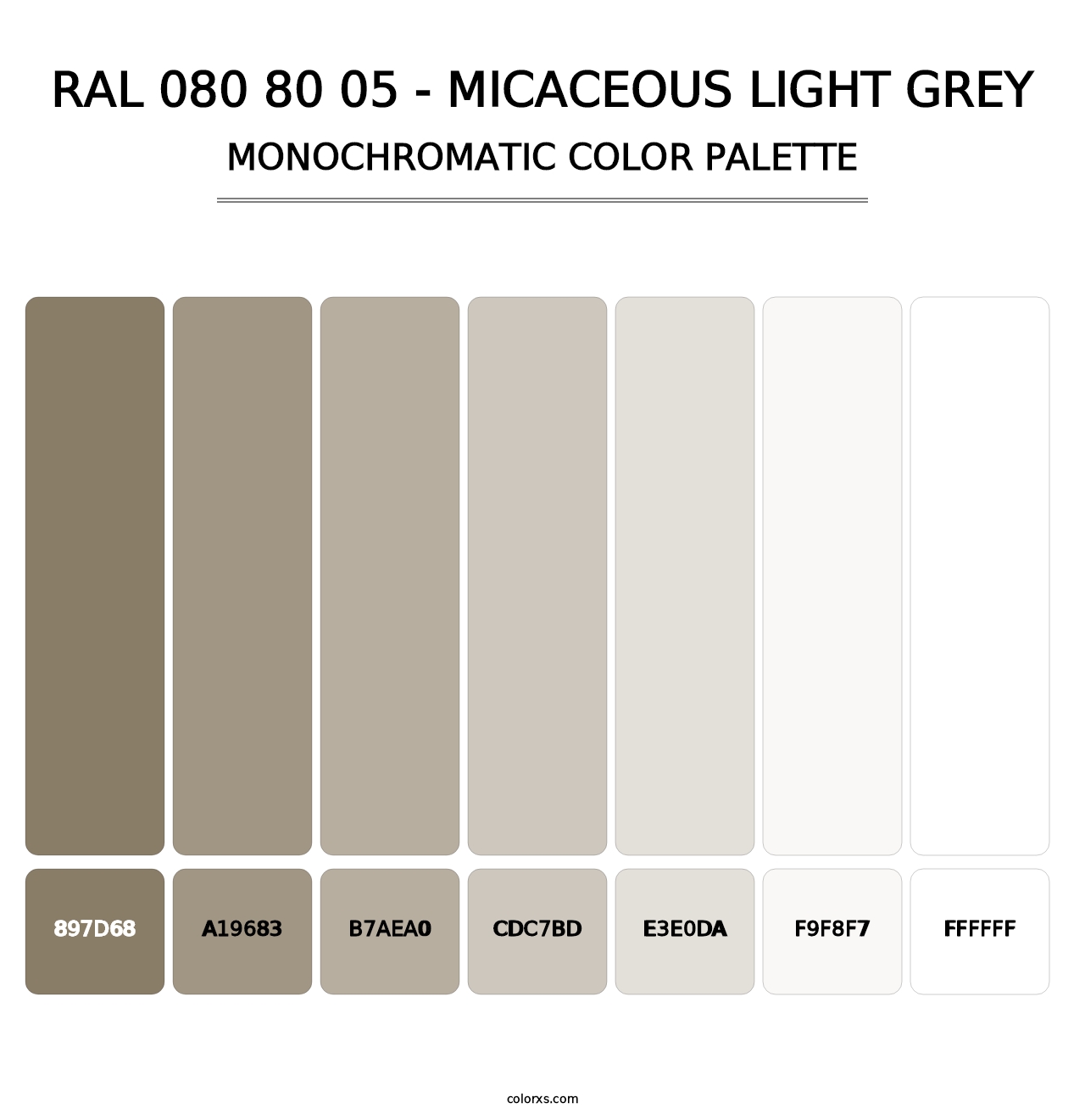 RAL 080 80 05 - Micaceous Light Grey - Monochromatic Color Palette