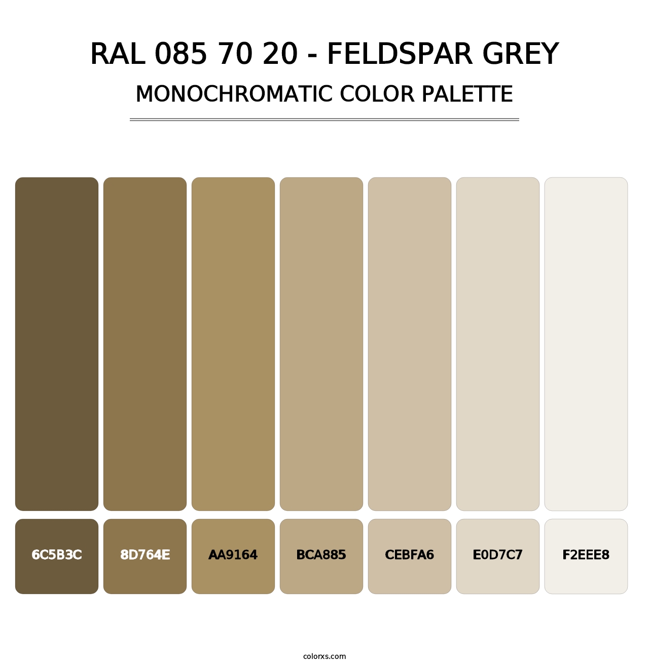 RAL 085 70 20 - Feldspar Grey - Monochromatic Color Palette