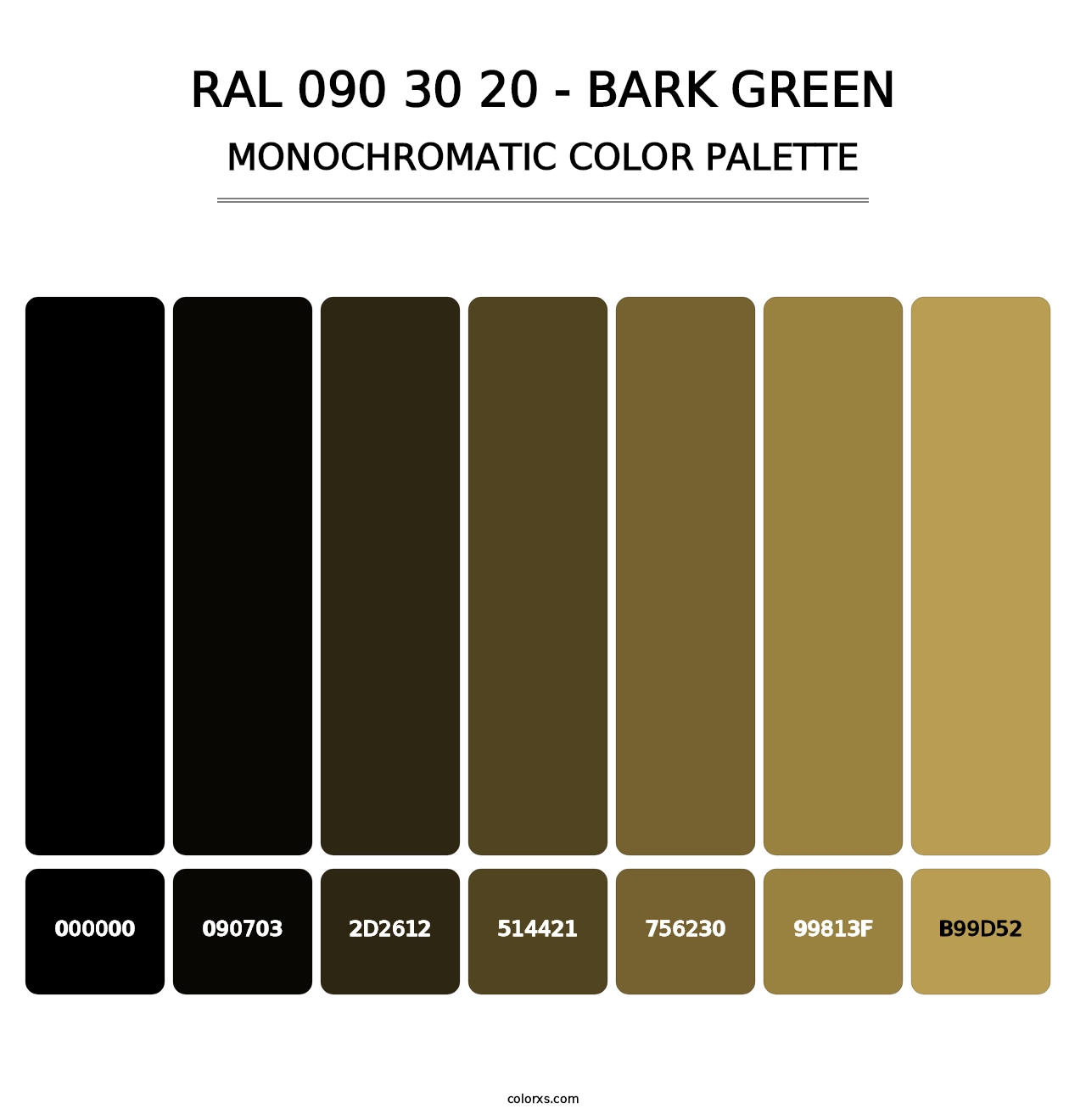 RAL 090 30 20 - Bark Green - Monochromatic Color Palette