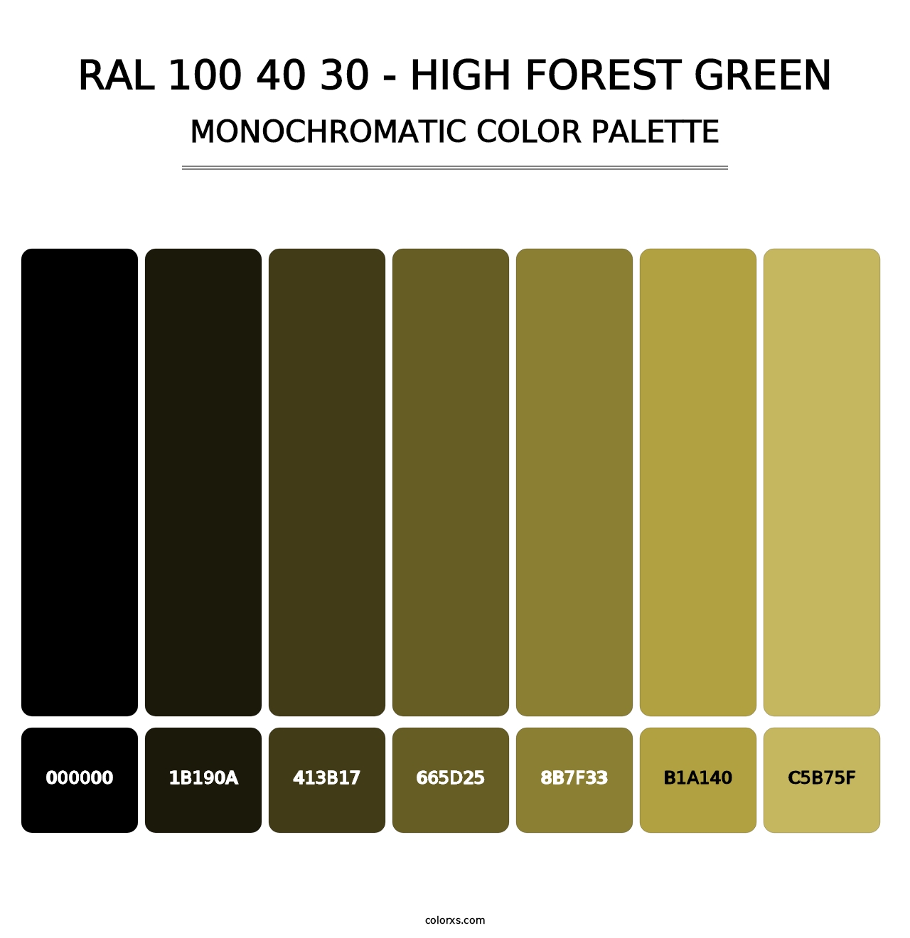 RAL 100 40 30 - High Forest Green - Monochromatic Color Palette