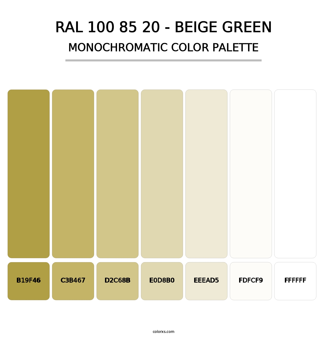 RAL 100 85 20 - Beige Green - Monochromatic Color Palette