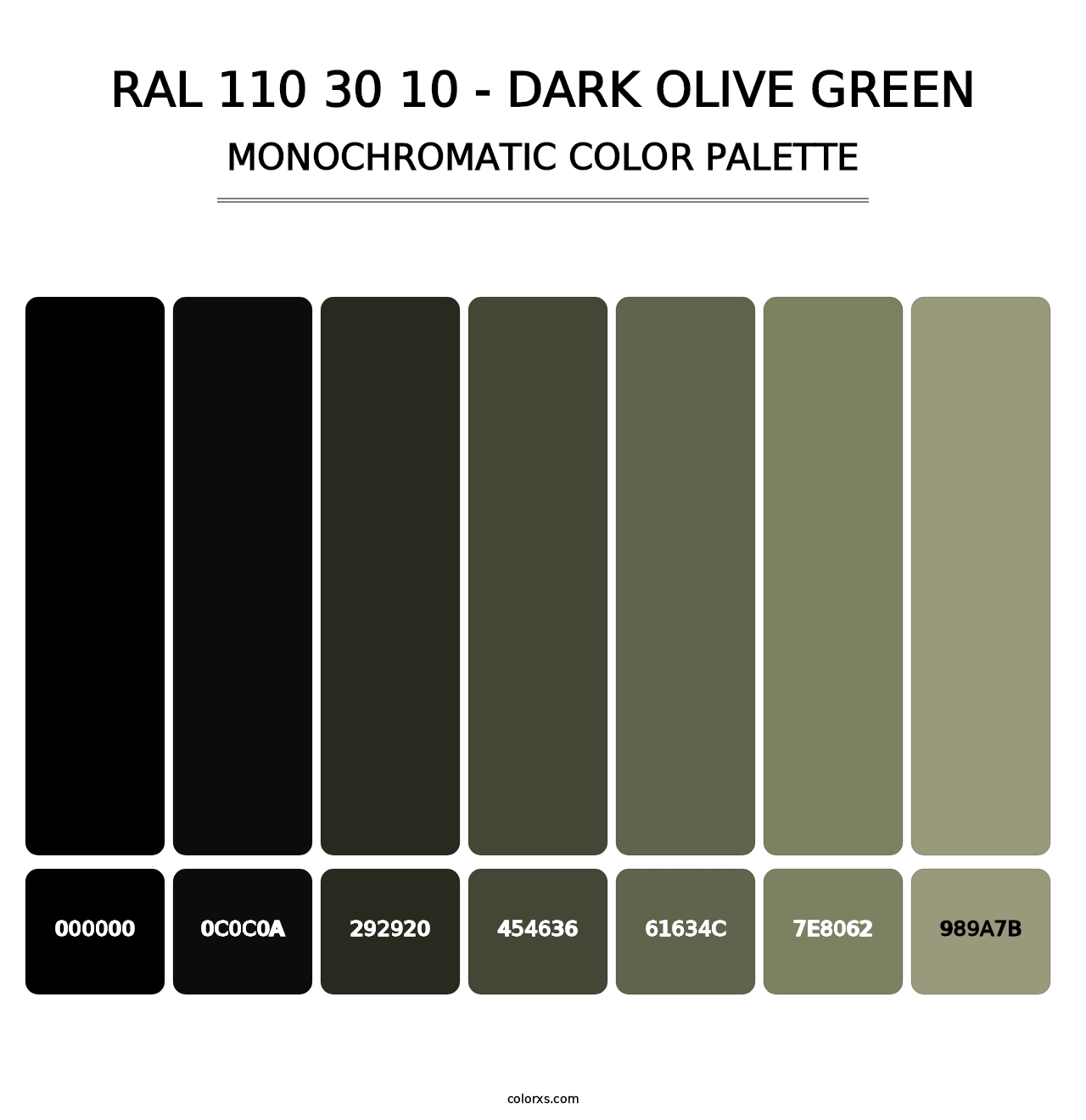 RAL 110 30 10 - Dark Olive Green - Monochromatic Color Palette