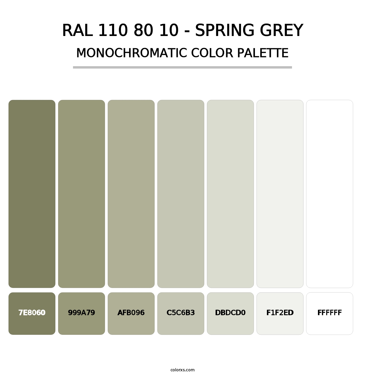 RAL 110 80 10 - Spring Grey - Monochromatic Color Palette