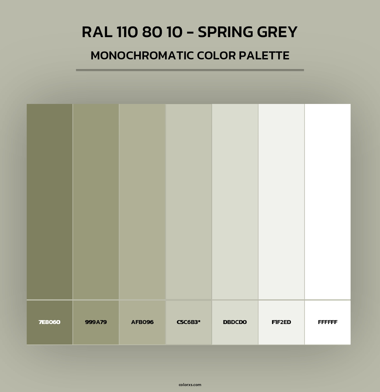 RAL 110 80 10 - Spring Grey - Monochromatic Color Palette