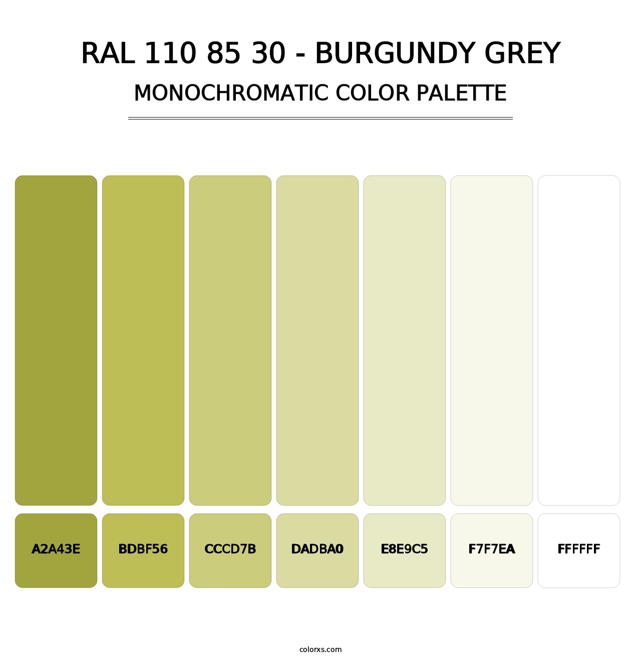 RAL 110 85 30 - Burgundy Grey - Monochromatic Color Palette