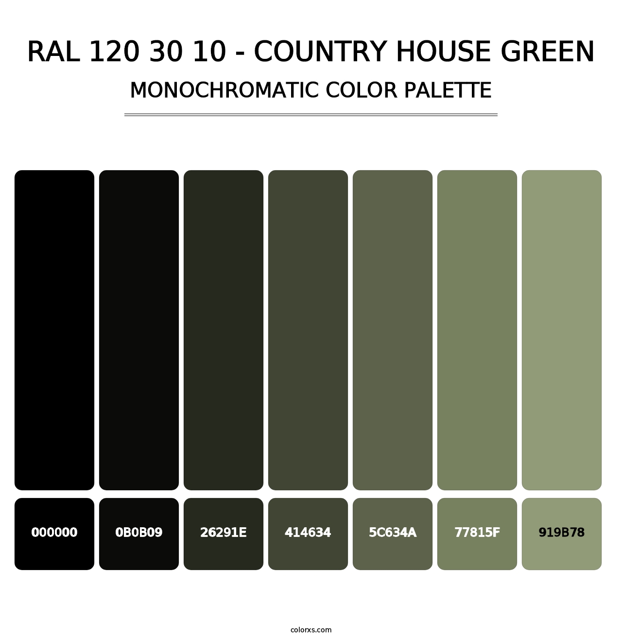RAL 120 30 10 - Country House Green - Monochromatic Color Palette