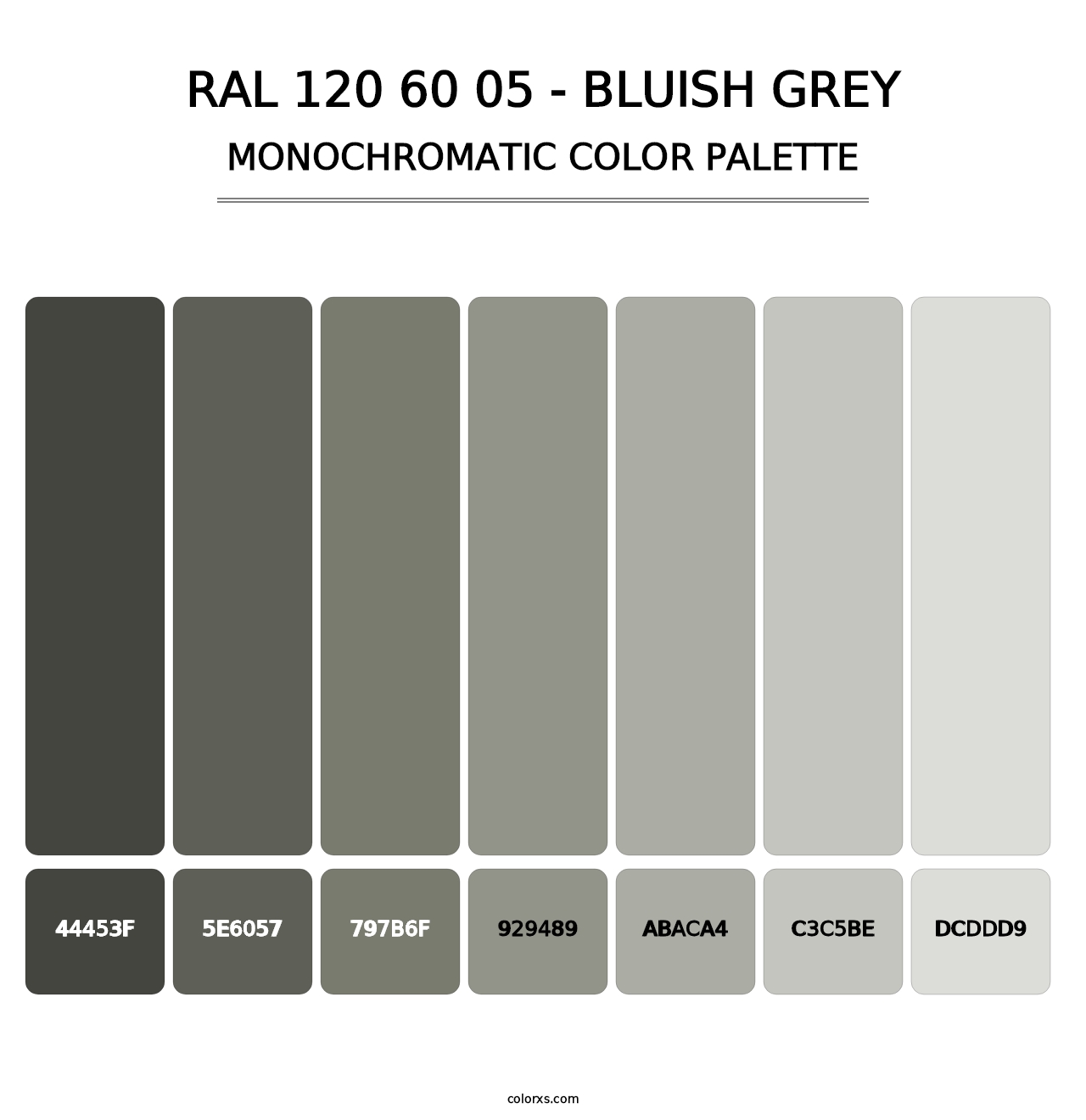 RAL 120 60 05 - Bluish Grey - Monochromatic Color Palette