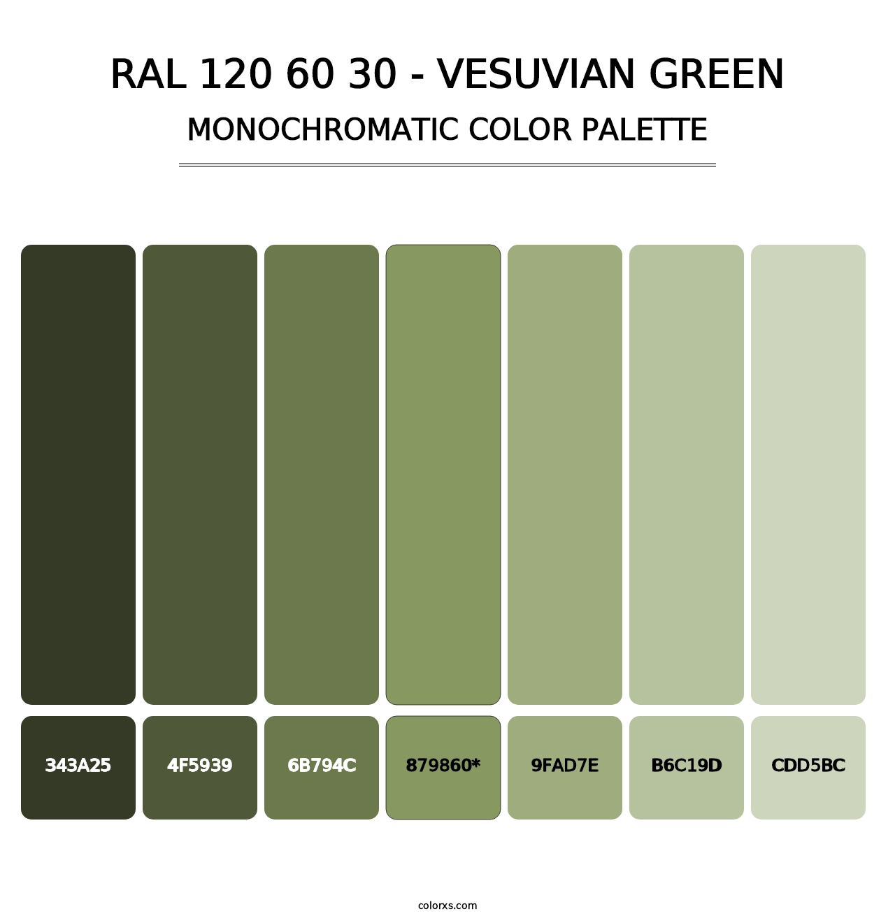 RAL 120 60 30 - Vesuvian Green - Monochromatic Color Palette