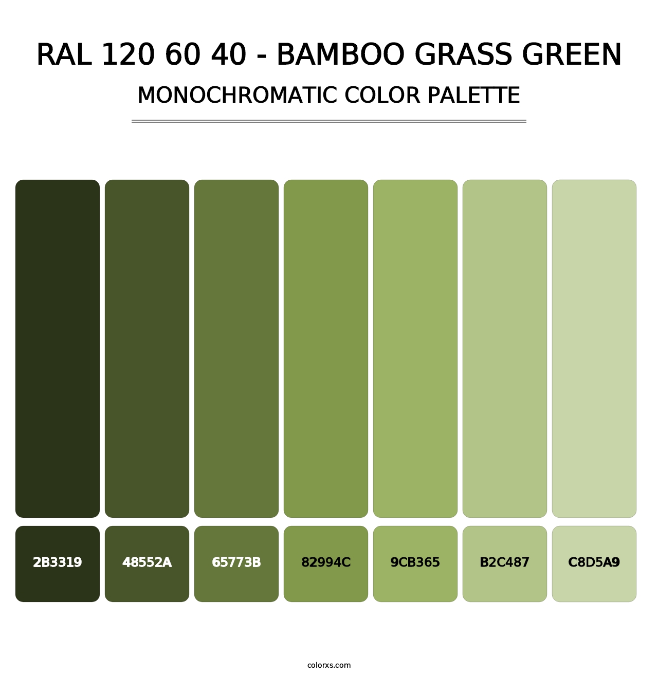 RAL 120 60 40 - Bamboo Grass Green - Monochromatic Color Palette