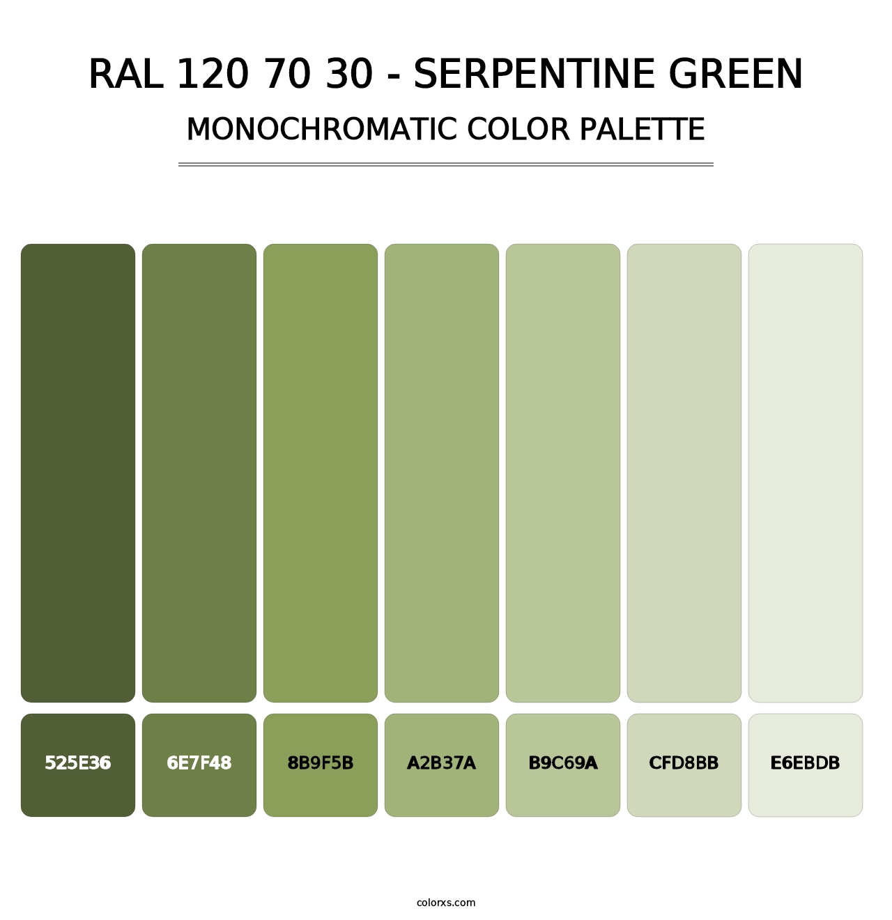 RAL 120 70 30 - Serpentine Green - Monochromatic Color Palette