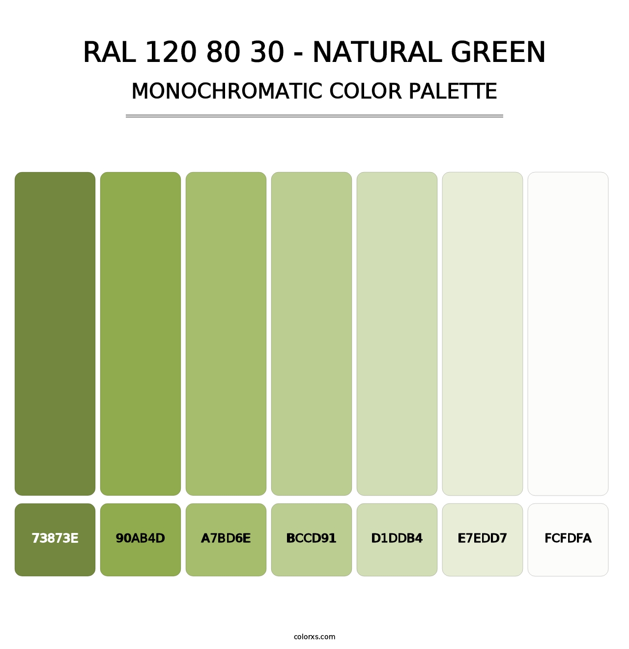 RAL 120 80 30 - Natural Green - Monochromatic Color Palette