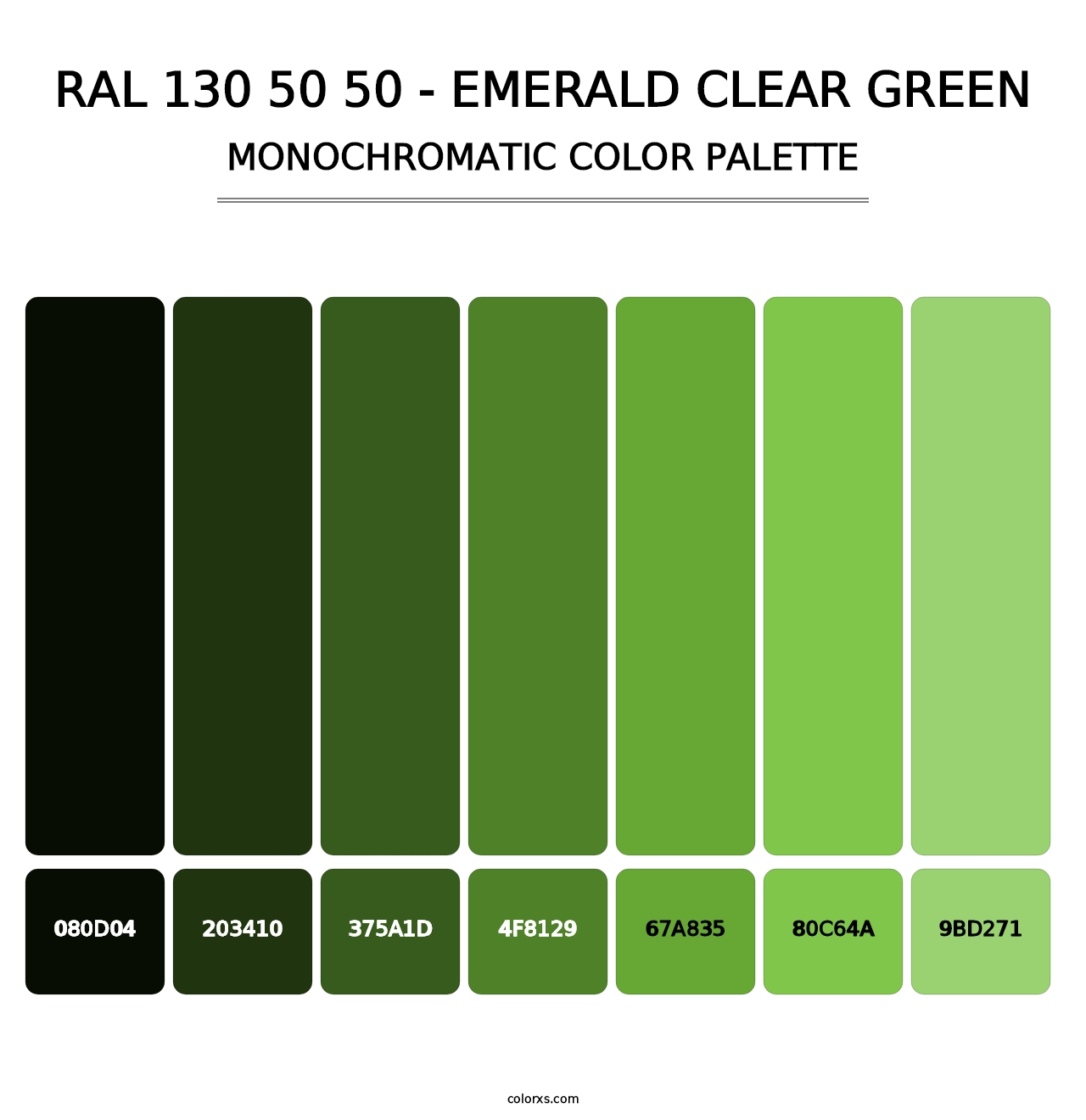 RAL 130 50 50 - Emerald Clear Green - Monochromatic Color Palette