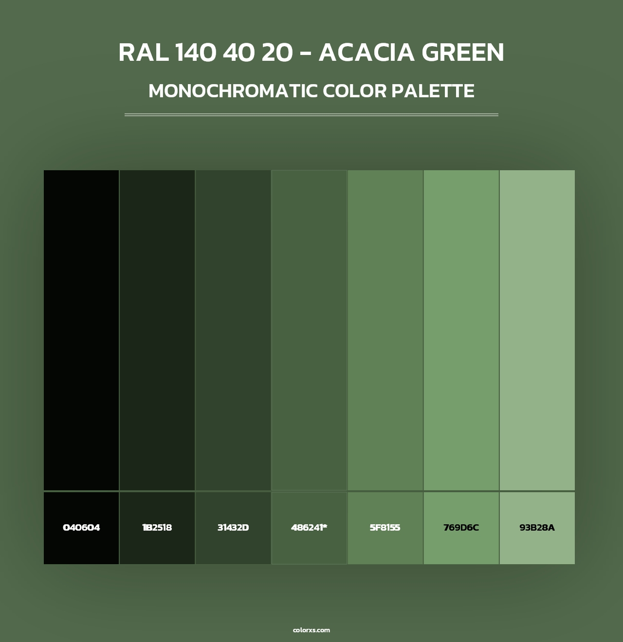 RAL 140 40 20 - Acacia Green - Monochromatic Color Palette
