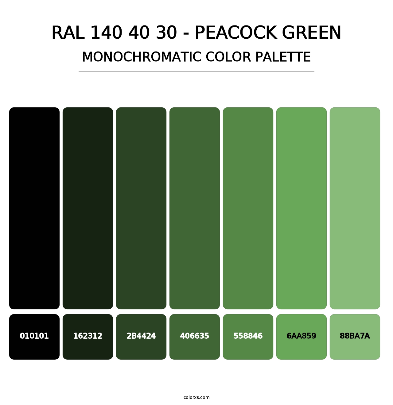 RAL 140 40 30 - Peacock Green - Monochromatic Color Palette