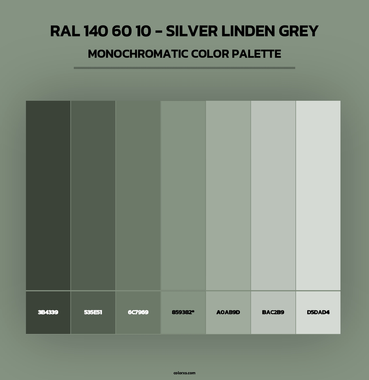 RAL 140 60 10 - Silver Linden Grey - Monochromatic Color Palette