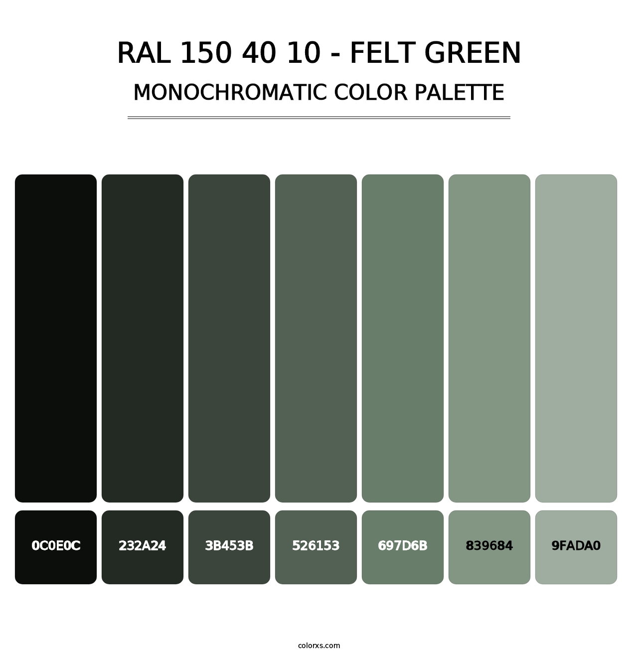 RAL 150 40 10 - Felt Green - Monochromatic Color Palette
