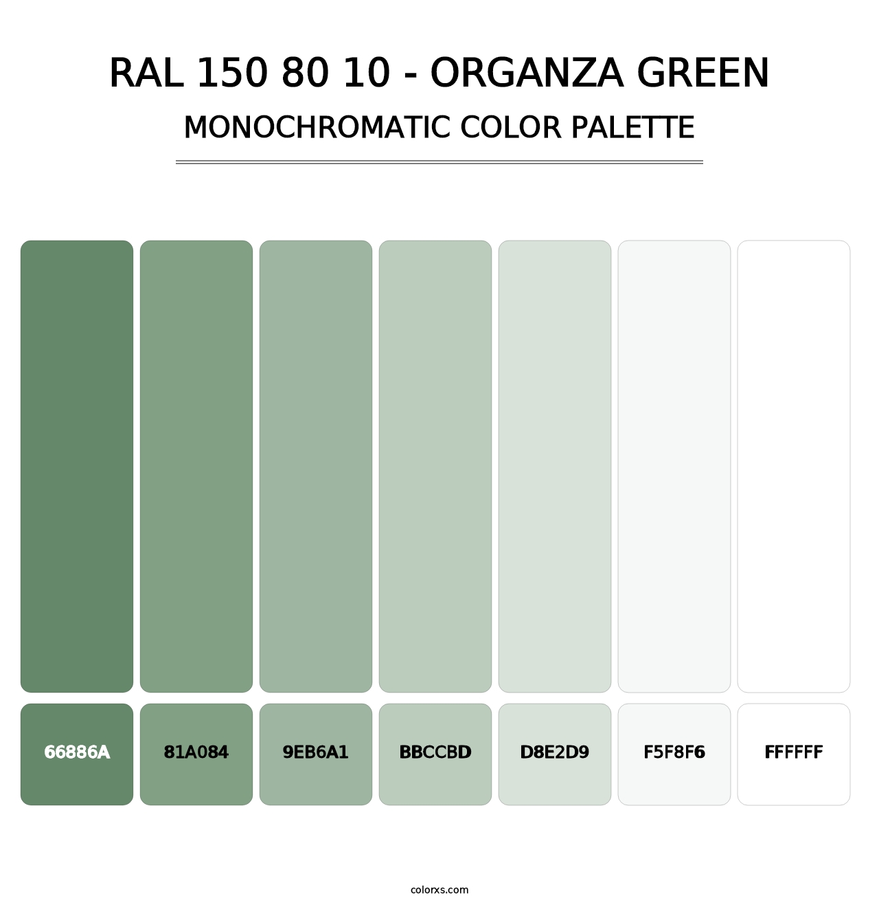 RAL 150 80 10 - Organza Green - Monochromatic Color Palette