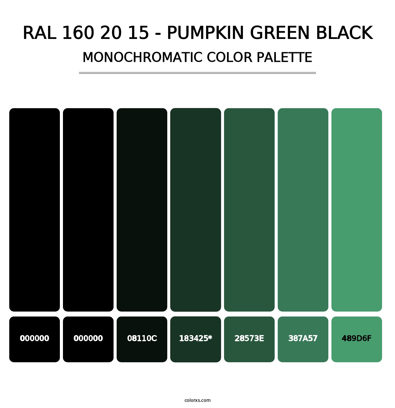 RAL 160 20 15 - Pumpkin Green Black - Monochromatic Color Palette