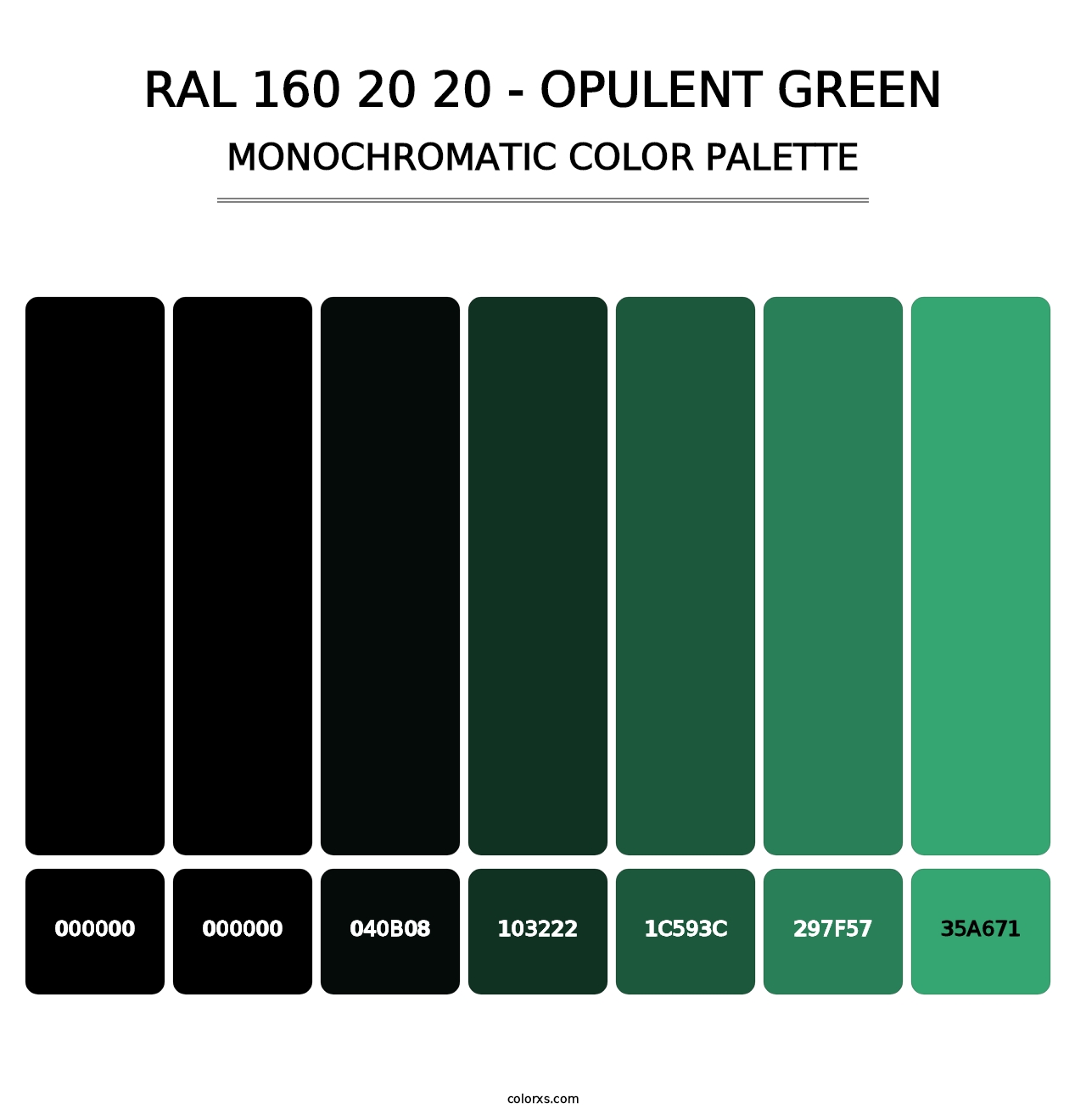 RAL 160 20 20 - Opulent Green - Monochromatic Color Palette
