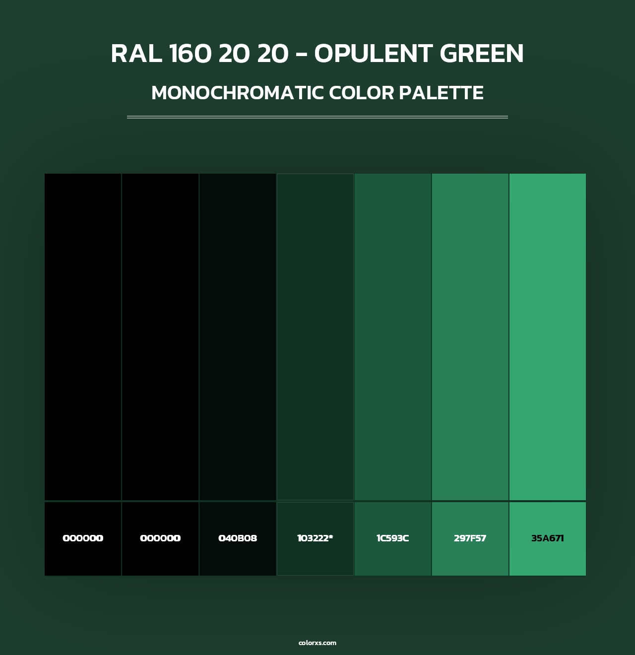RAL 160 20 20 - Opulent Green - Monochromatic Color Palette