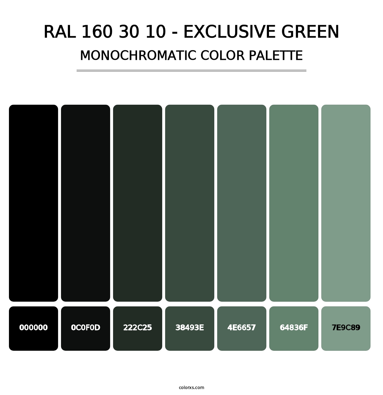 RAL 160 30 10 - Exclusive Green - Monochromatic Color Palette
