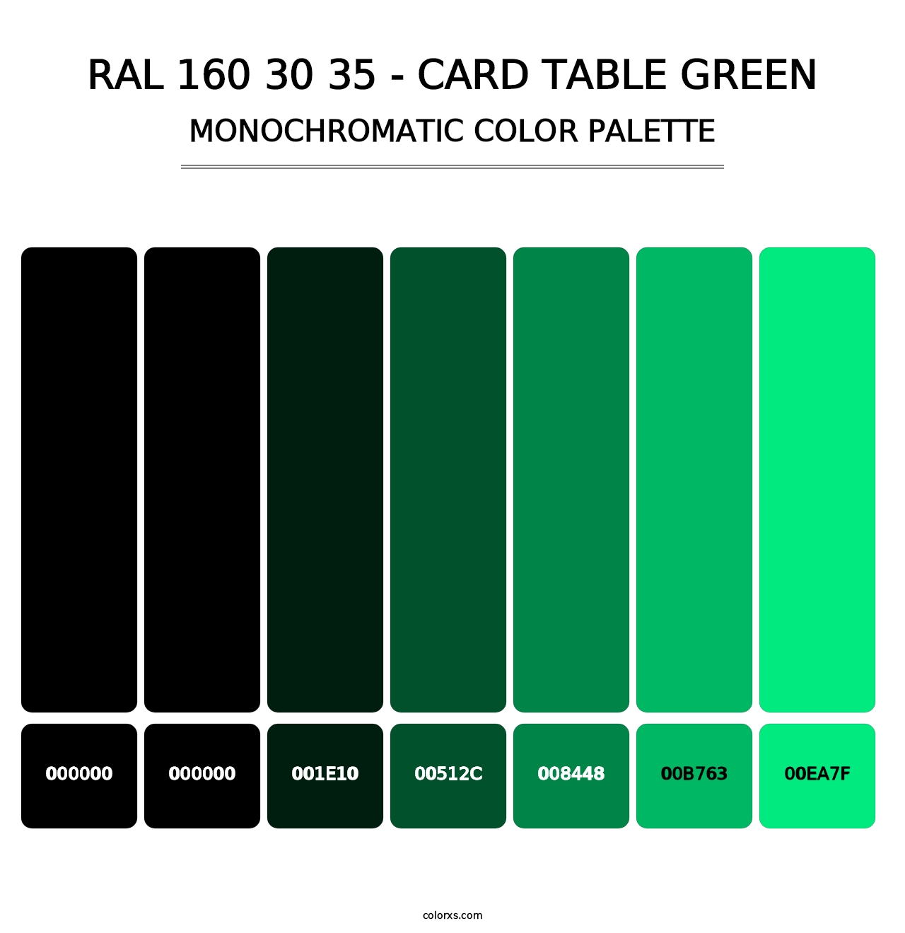 RAL 160 30 35 - Card Table Green - Monochromatic Color Palette