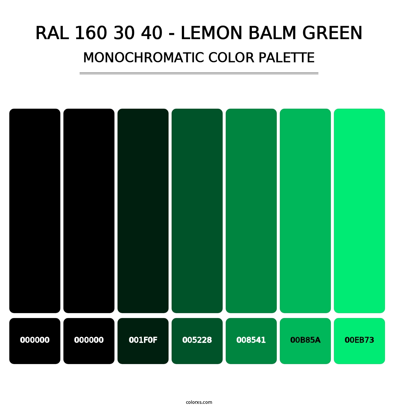 RAL 160 30 40 - Lemon Balm Green - Monochromatic Color Palette