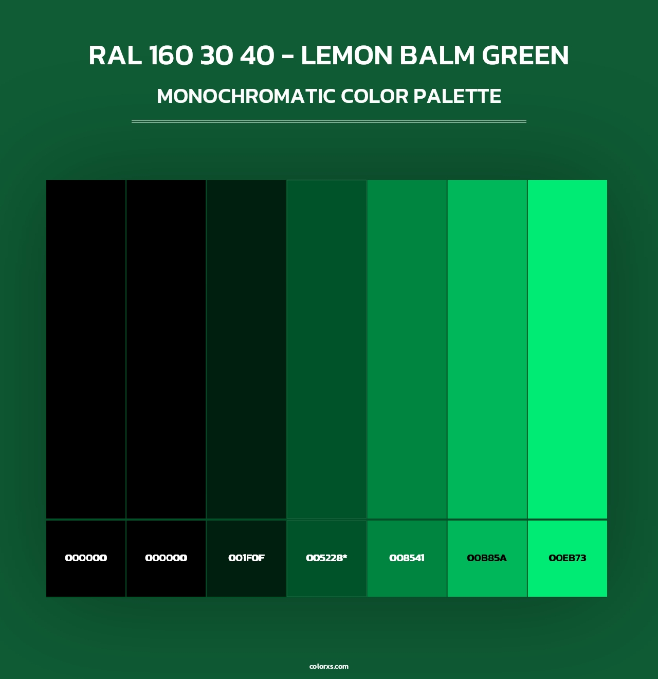 RAL 160 30 40 - Lemon Balm Green - Monochromatic Color Palette