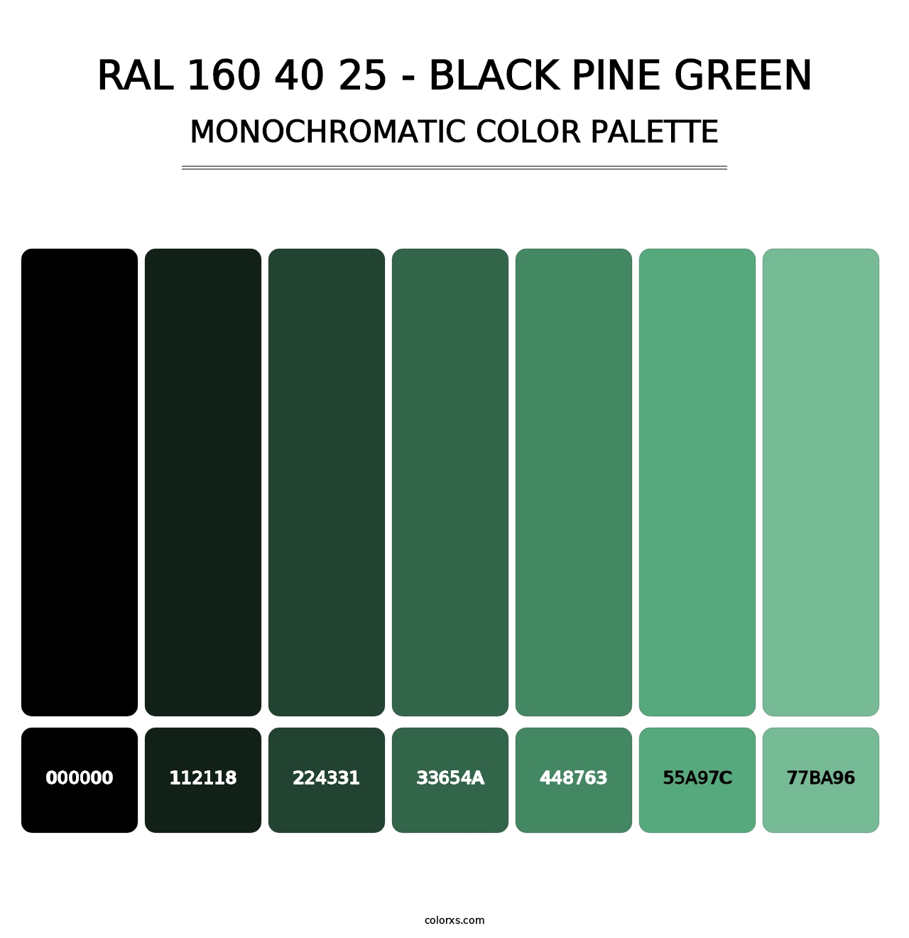 RAL 160 40 25 - Black Pine Green - Monochromatic Color Palette