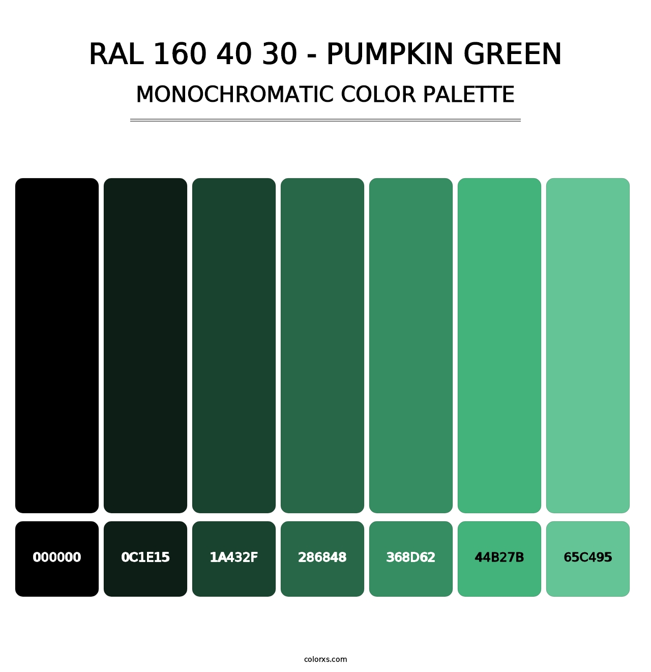 RAL 160 40 30 - Pumpkin Green - Monochromatic Color Palette