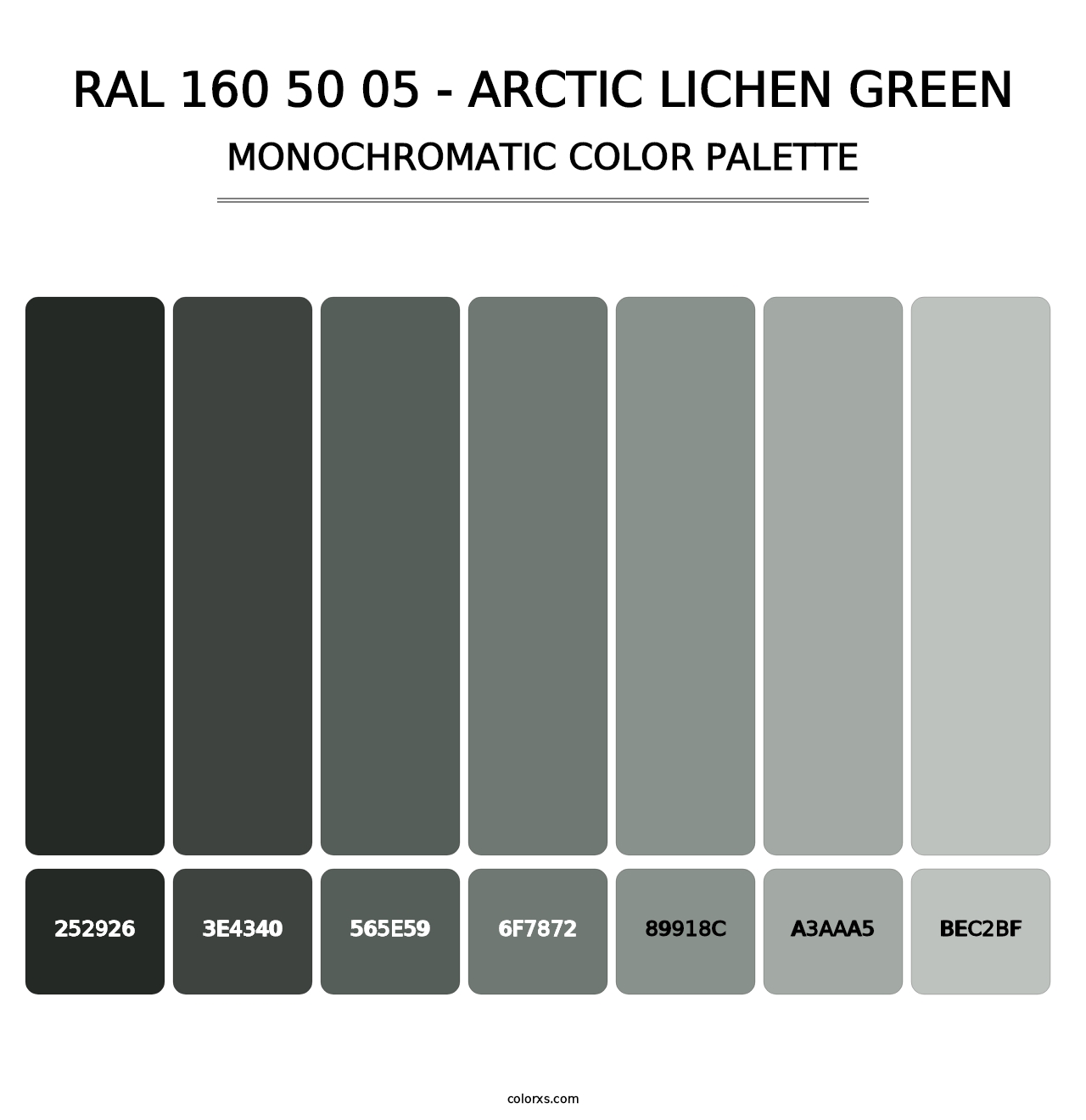 RAL 160 50 05 - Arctic Lichen Green - Monochromatic Color Palette