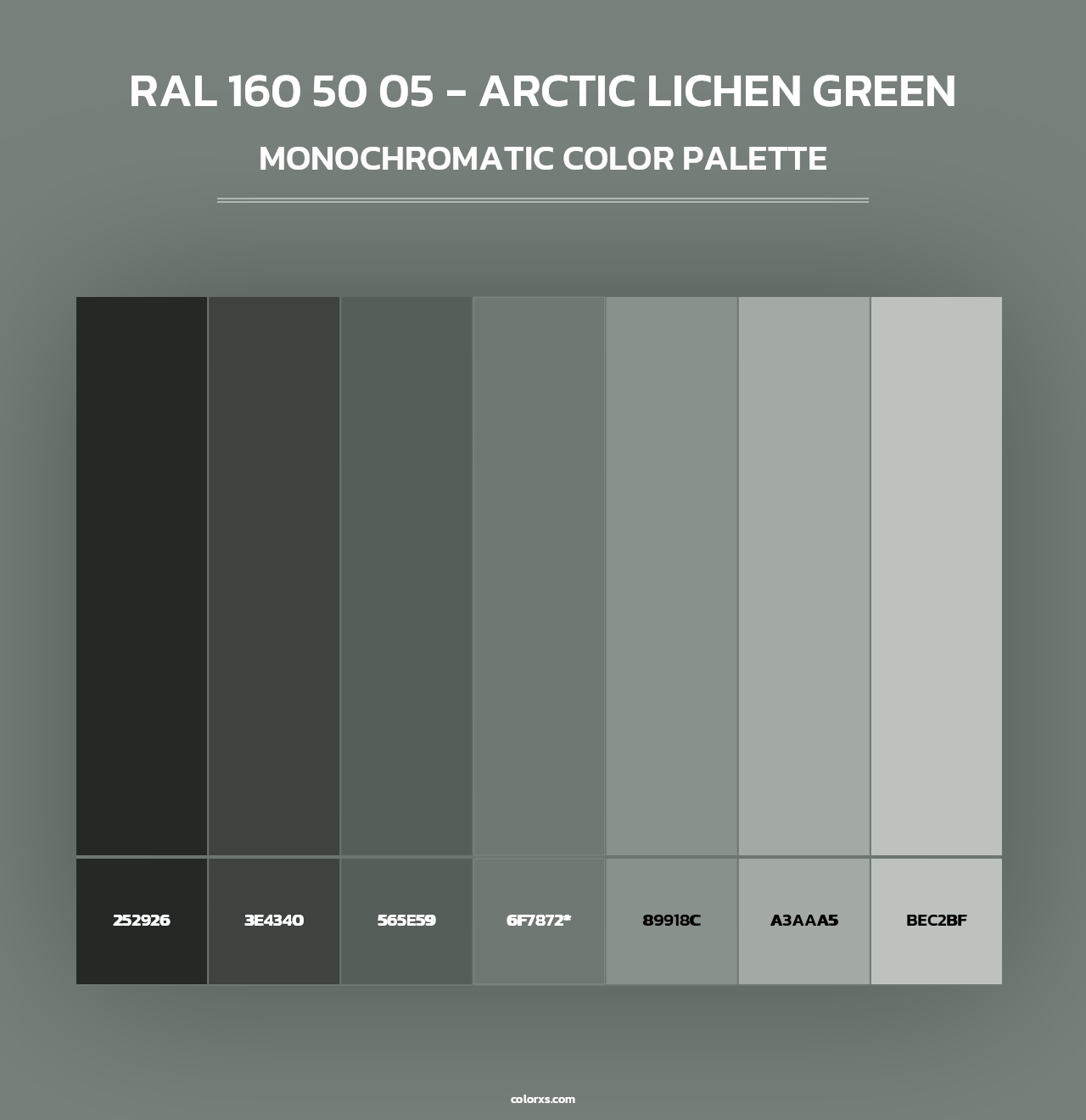 RAL 160 50 05 - Arctic Lichen Green - Monochromatic Color Palette