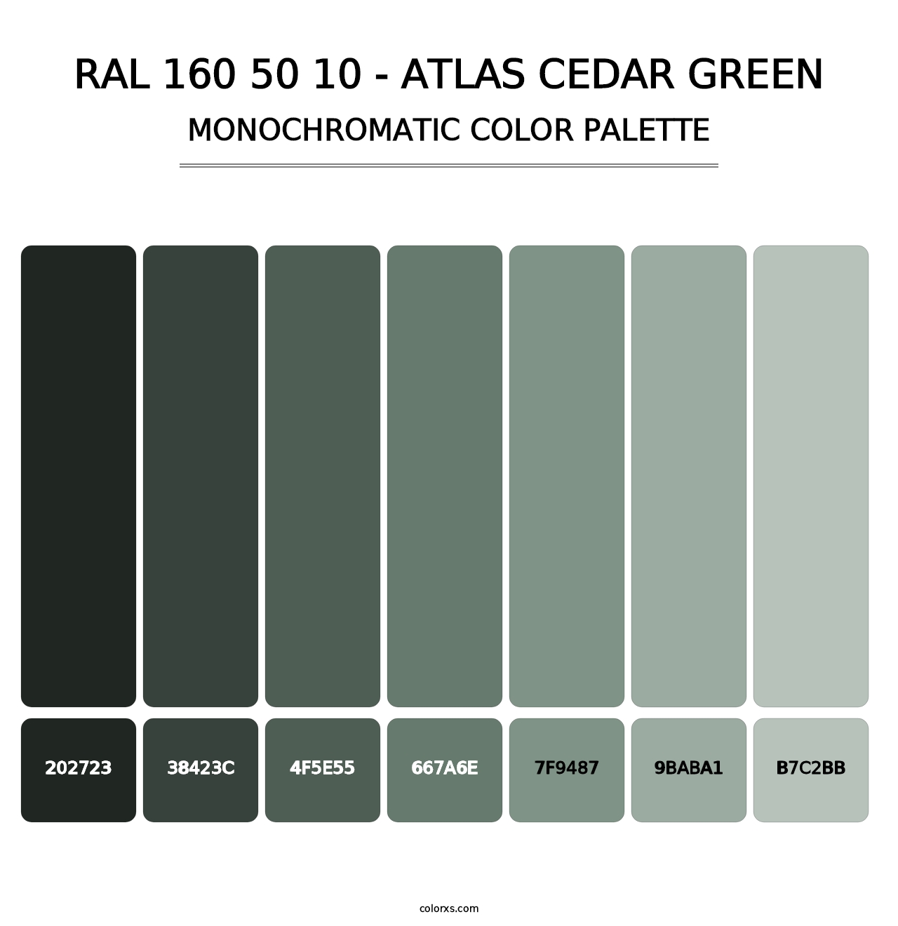 RAL 160 50 10 - Atlas Cedar Green - Monochromatic Color Palette