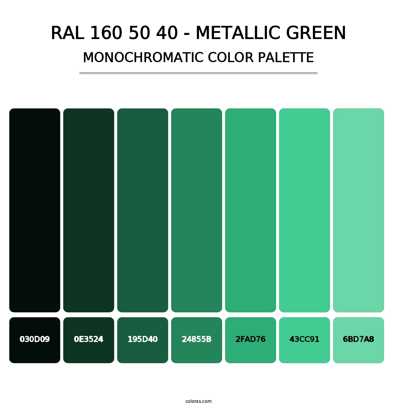 RAL 160 50 40 - Metallic Green - Monochromatic Color Palette