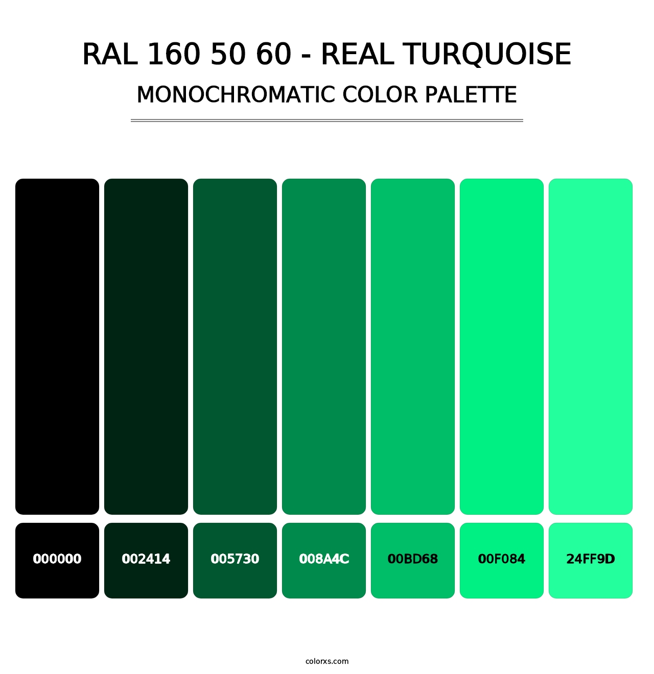 RAL 160 50 60 - Real Turquoise - Monochromatic Color Palette