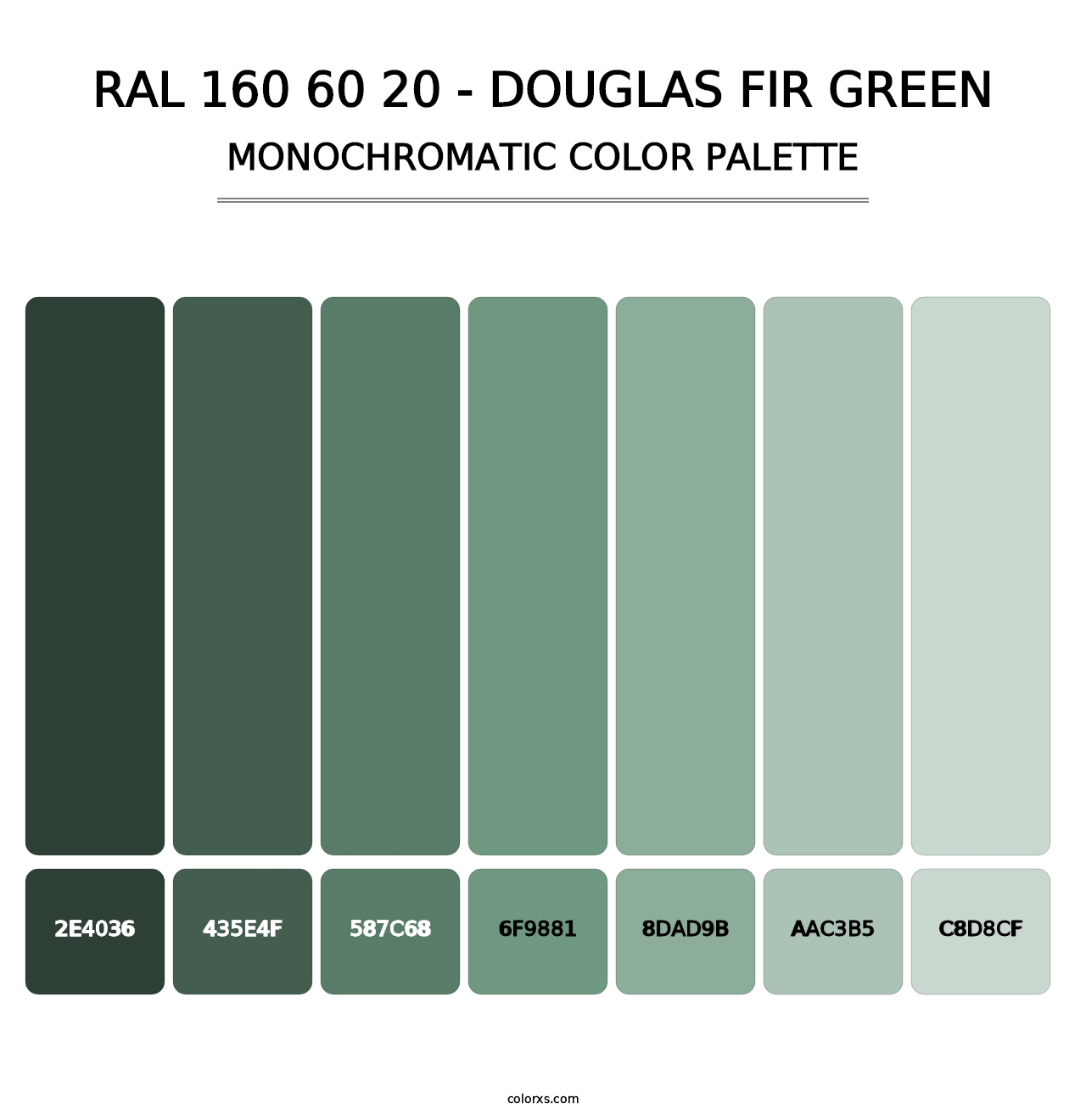 RAL 160 60 20 - Douglas Fir Green - Monochromatic Color Palette
