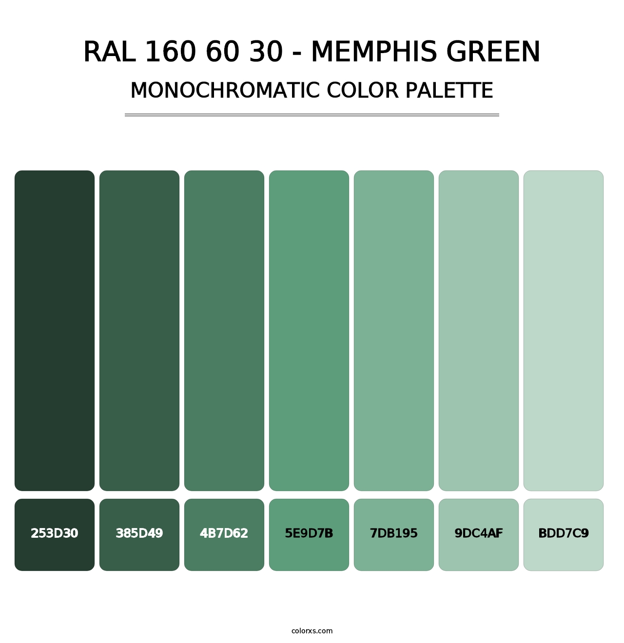 RAL 160 60 30 - Memphis Green - Monochromatic Color Palette