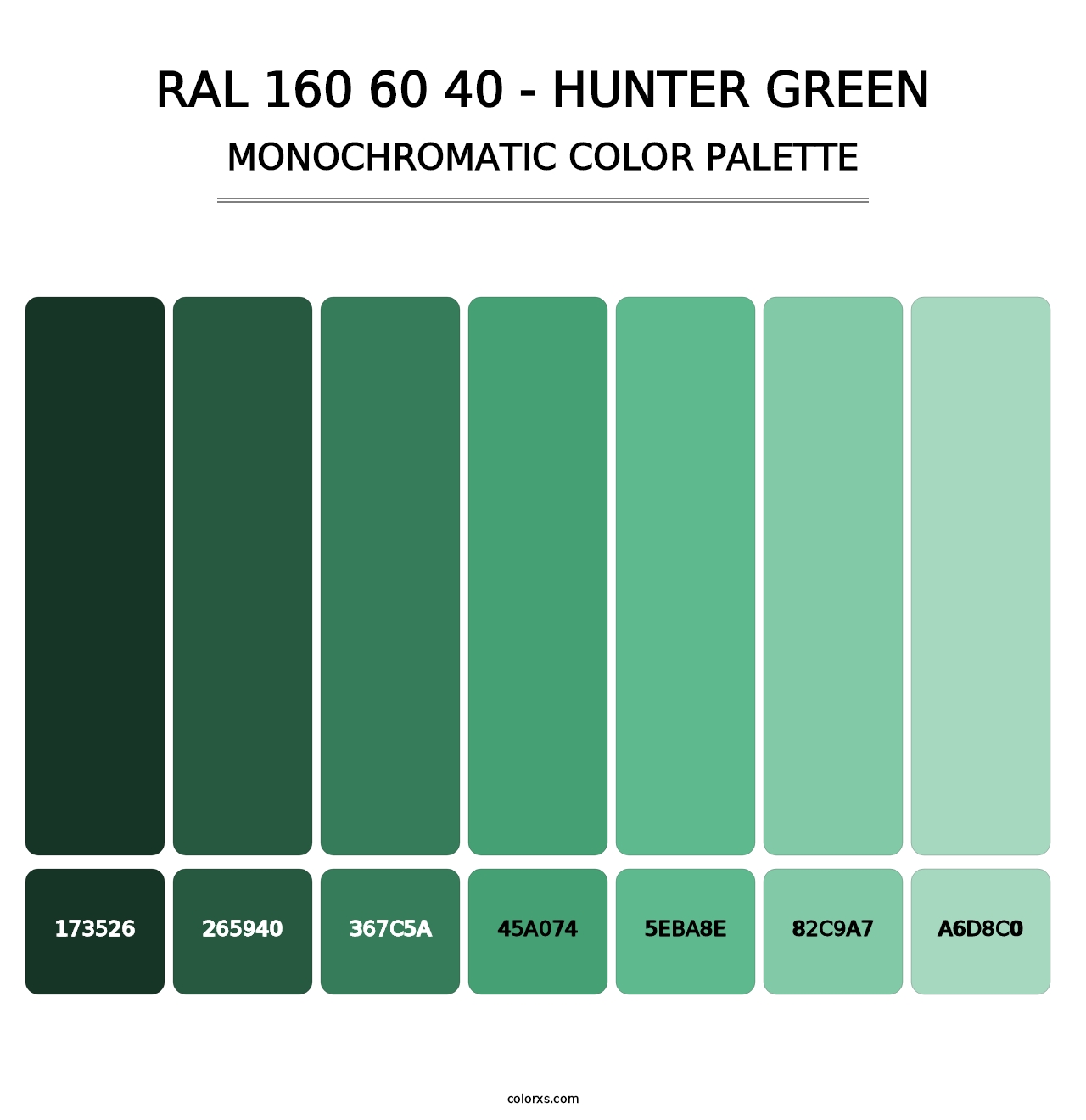 RAL 160 60 40 - Hunter Green - Monochromatic Color Palette