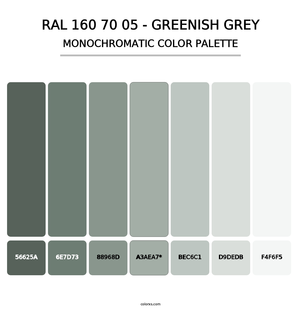 RAL 160 70 05 - Greenish Grey - Monochromatic Color Palette