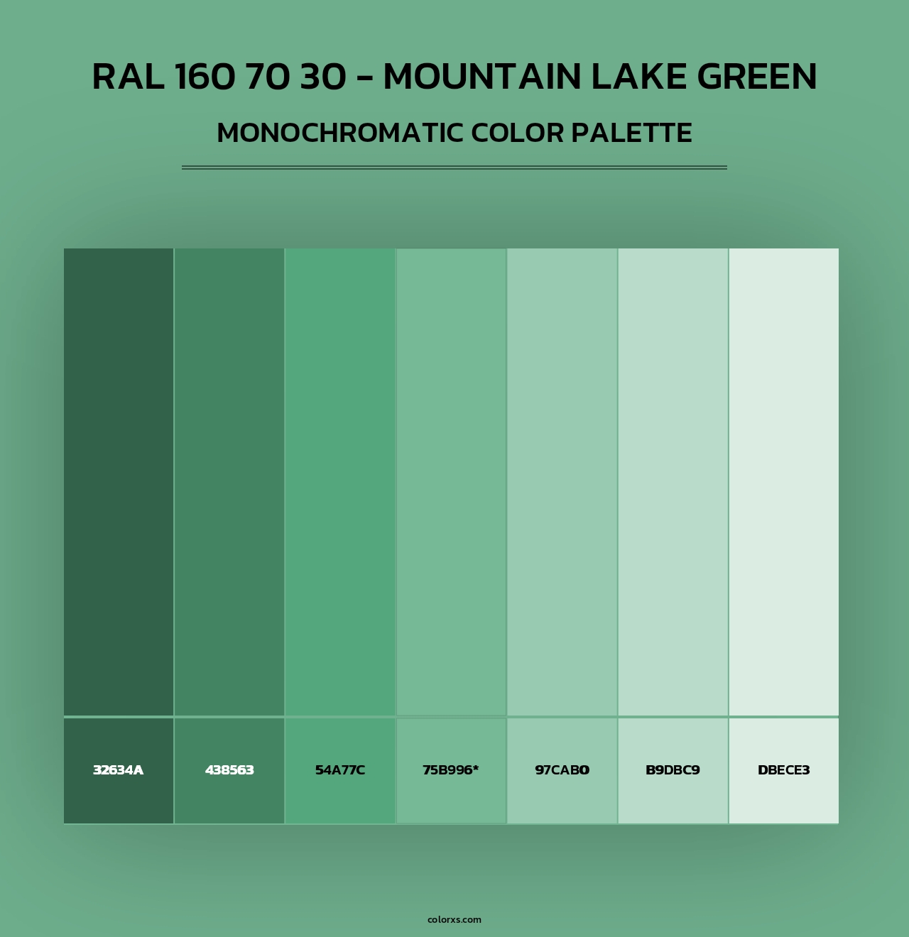 RAL 160 70 30 - Mountain Lake Green - Monochromatic Color Palette