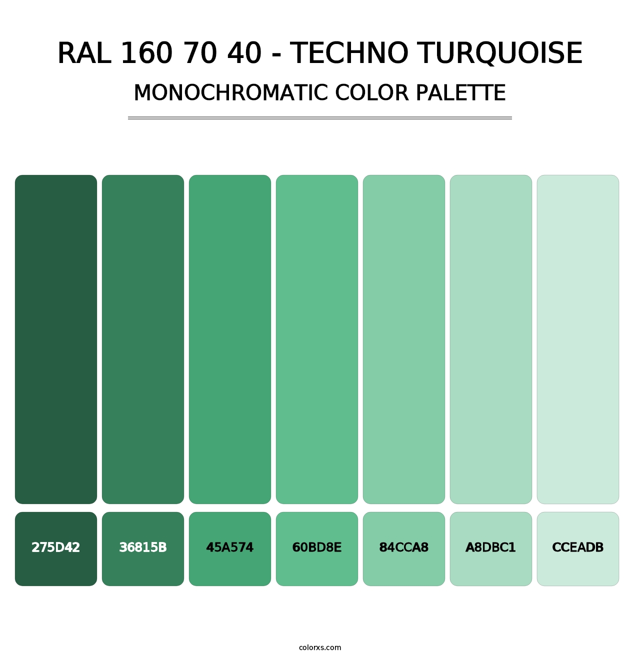 RAL 160 70 40 - Techno Turquoise - Monochromatic Color Palette