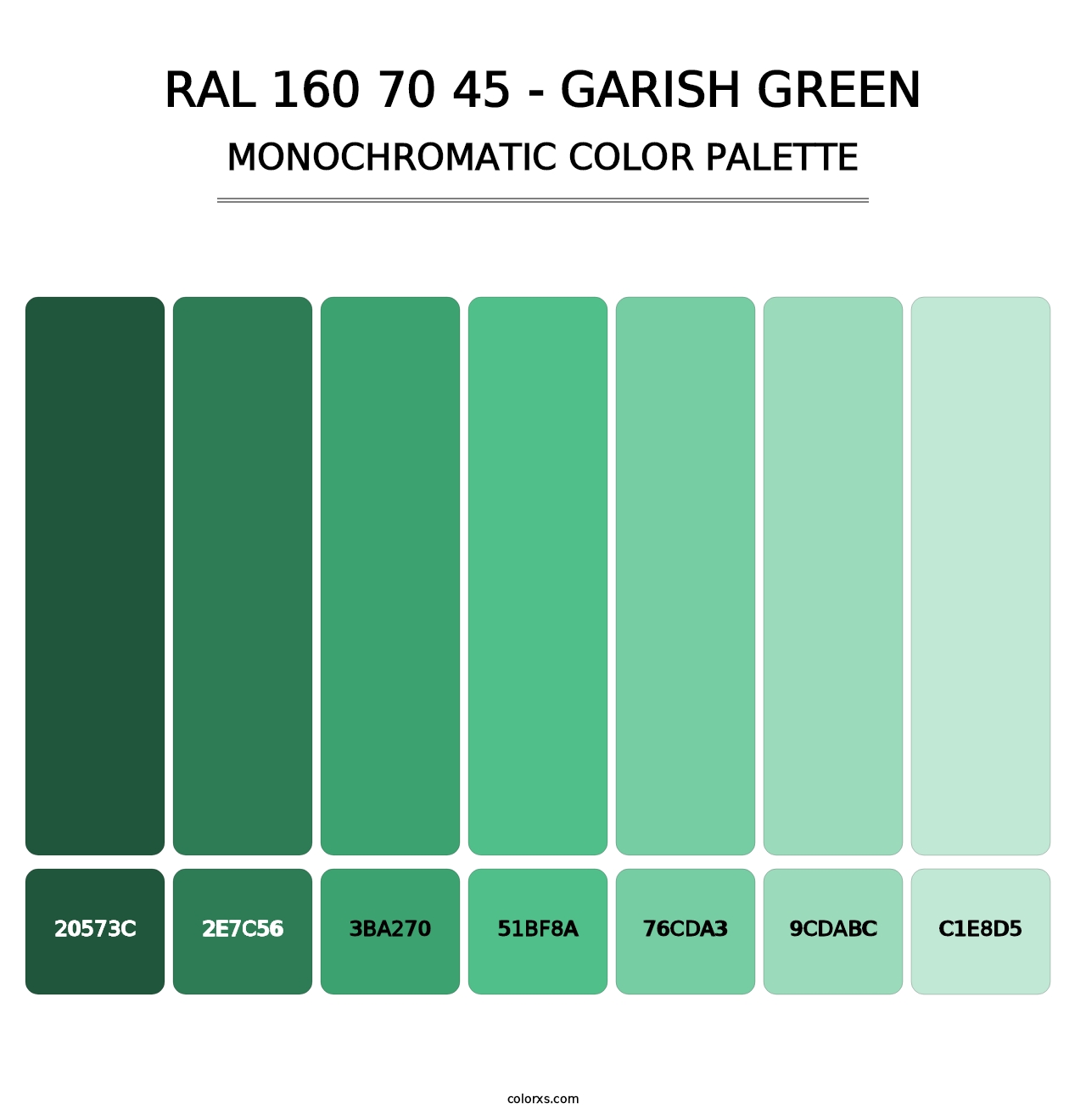 RAL 160 70 45 - Garish Green - Monochromatic Color Palette