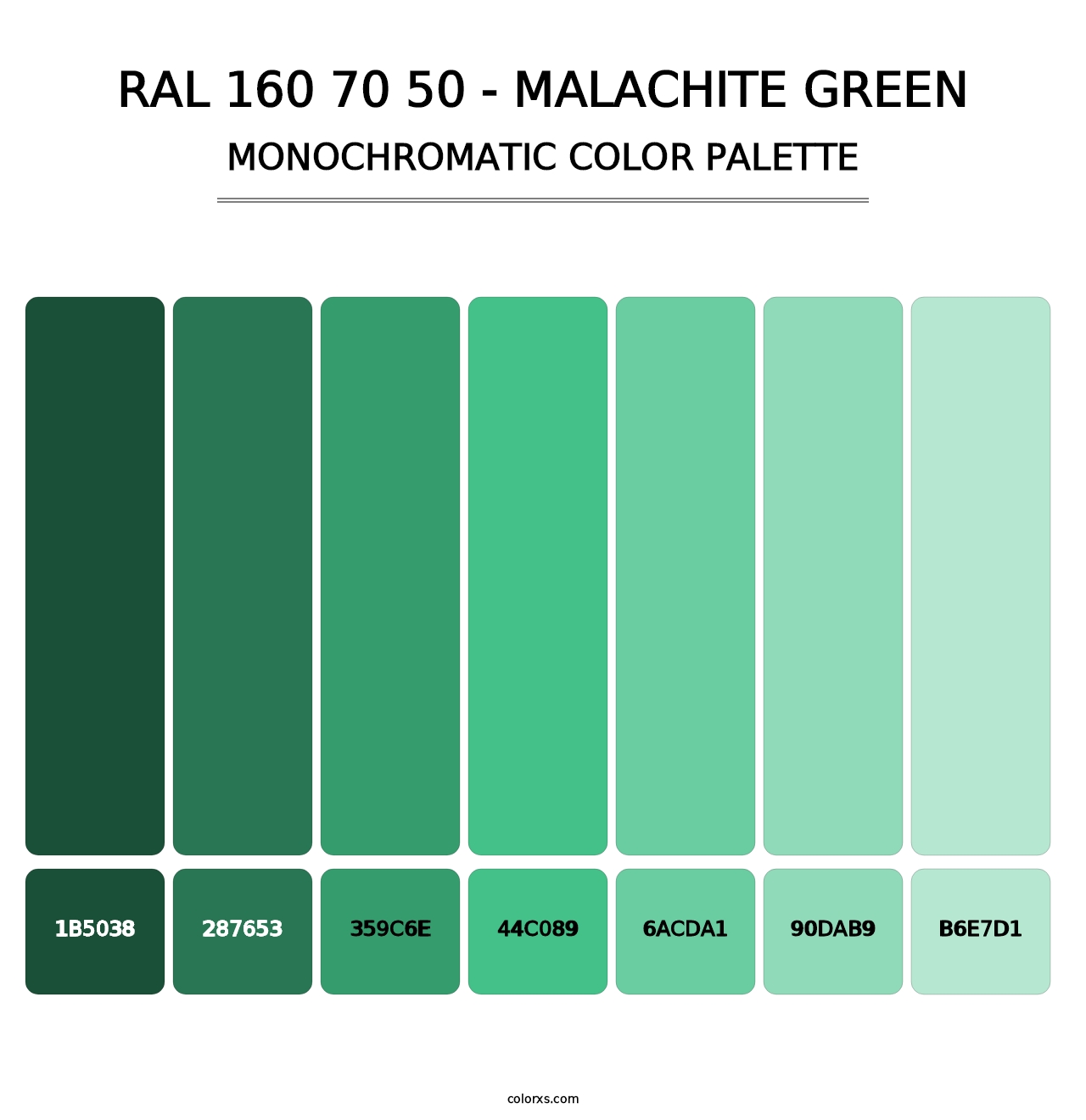 RAL 160 70 50 - Malachite Green - Monochromatic Color Palette