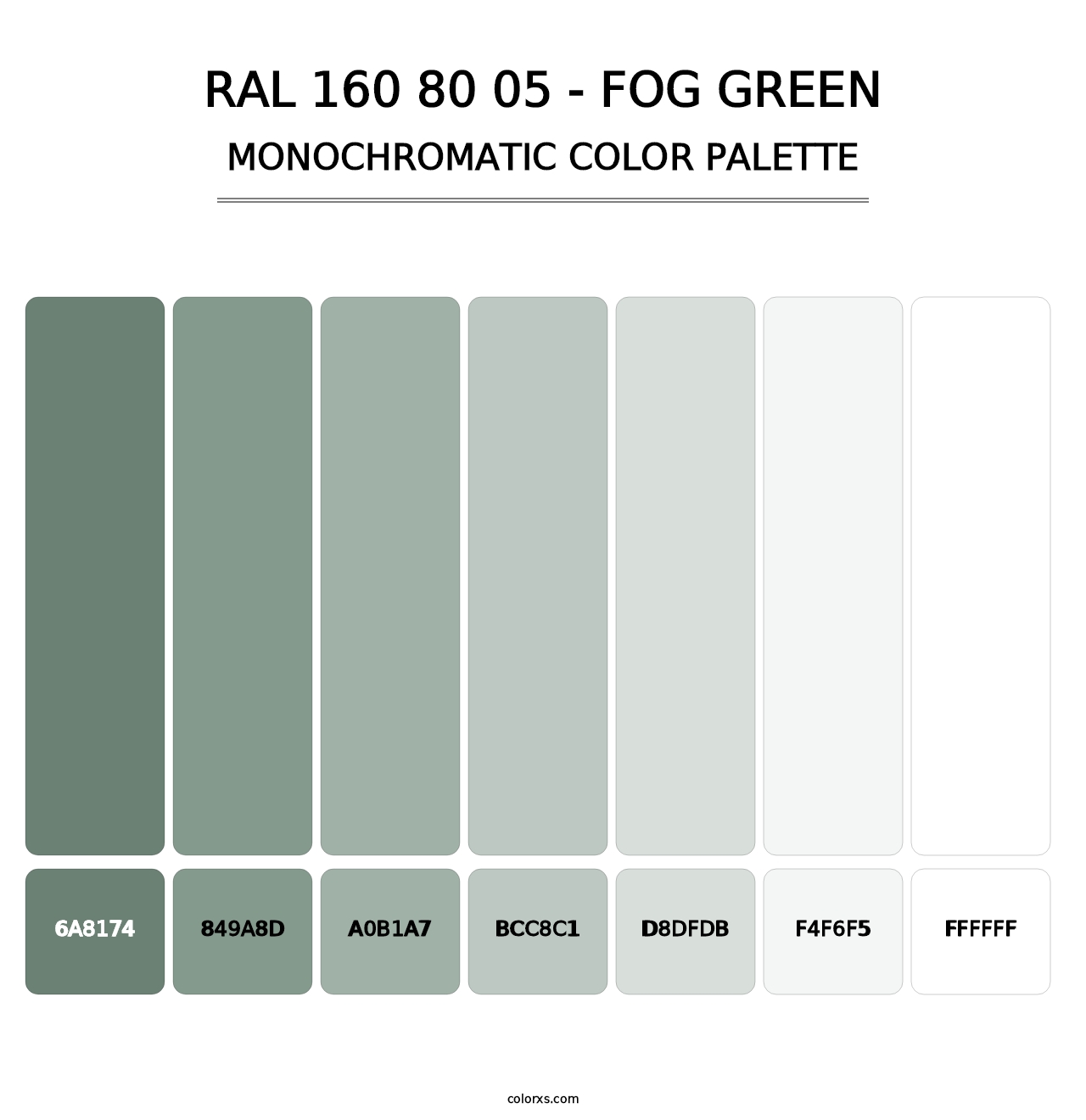 RAL 160 80 05 - Fog Green - Monochromatic Color Palette