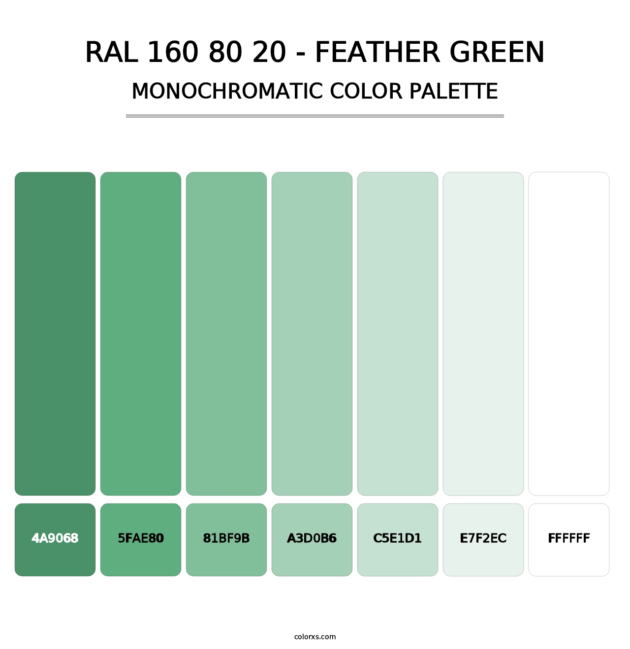 RAL 160 80 20 - Feather Green - Monochromatic Color Palette