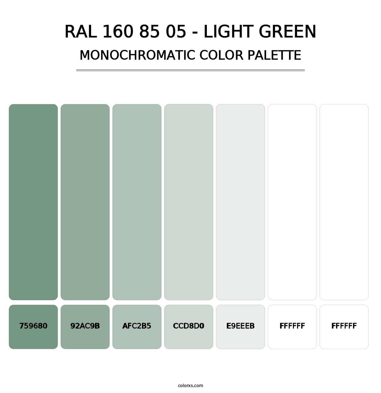 RAL 160 85 05 - Light Green - Monochromatic Color Palette