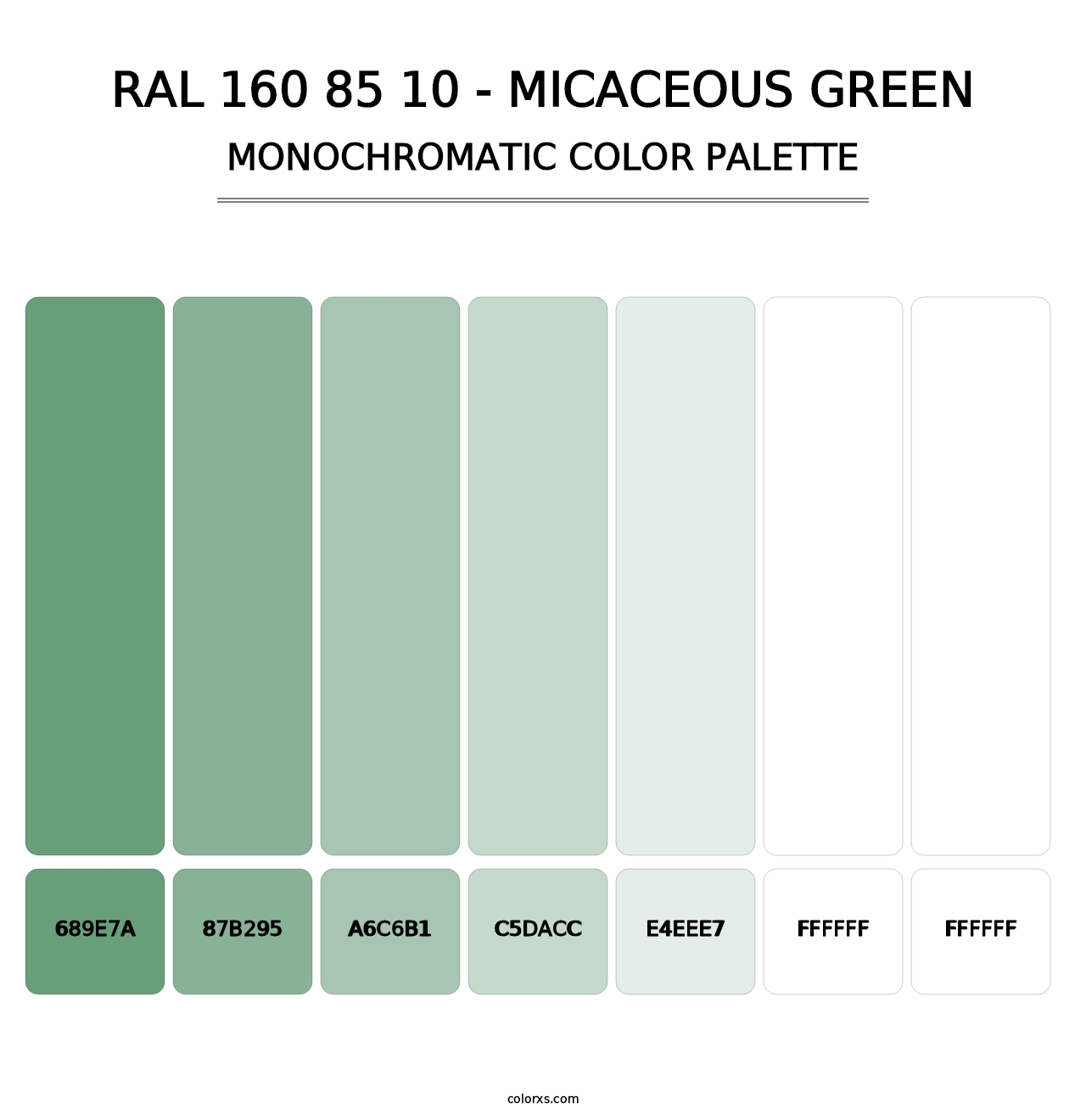 RAL 160 85 10 - Micaceous Green - Monochromatic Color Palette